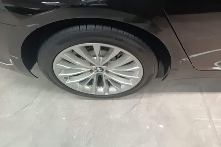 Used BMW 5 Series 2020 530Li Luxury Edition Premium Package
