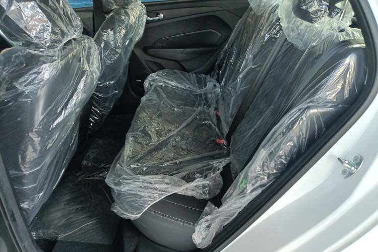 Used SINOGOLD Junxing 2023 Standard Model Left Rear Seat