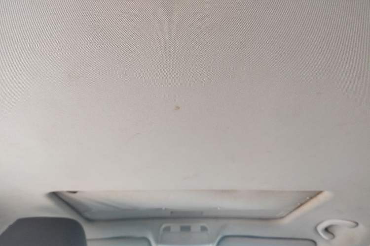 Used Volkswagen Magotan 2013 1.8TSI Premier Model Headliner