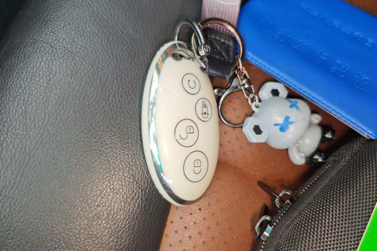 Used BYD Qin New Energy 2017 Qin 1.5T 100
