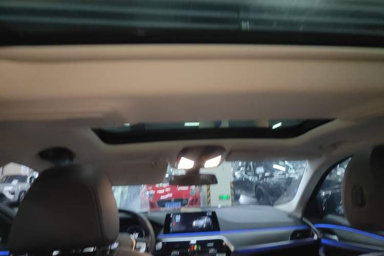 Used BMW 5 Series New Energy 2018 530Le Luxury Package