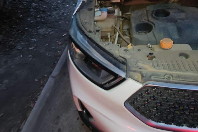 Used CHANGAN OSHAN COS1 2020 1.5T Manual Fashionable Smart Connectivity 7-Seater Right Front Headlight