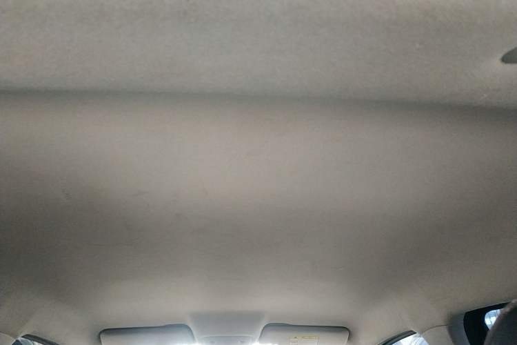 Used Leapmotor T03 2021 400 Micro-Sugar Version Headliner