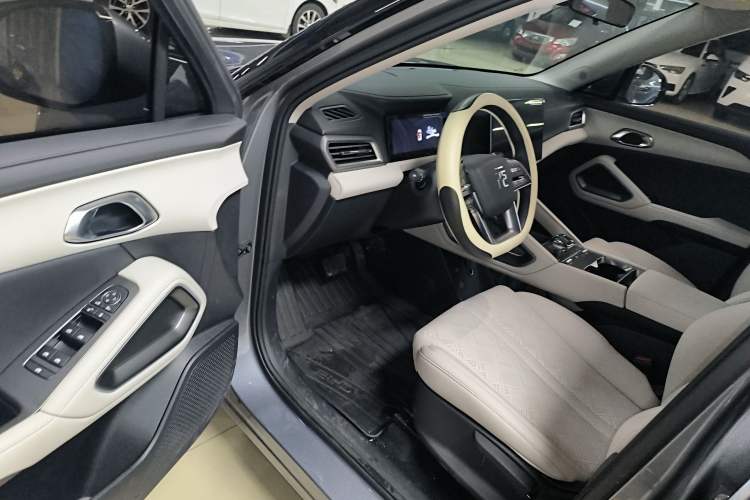 Used BYD Yuan UP 2024 401KM Leading Edition
