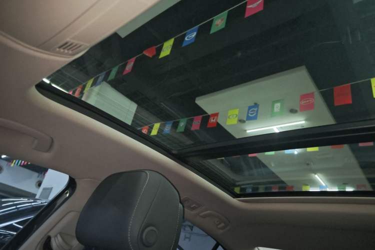 Used Volkswagen Magotan 2020 330TSI DSG Luxury Edition
