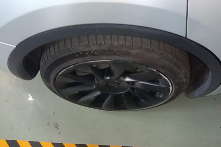 Used Tesla Model Y 2021 Standard Range Rear-Wheel Drive Version

