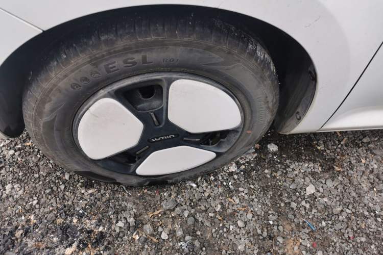 Used Qiyuan Lumin 2023 205km Xiangqin Version