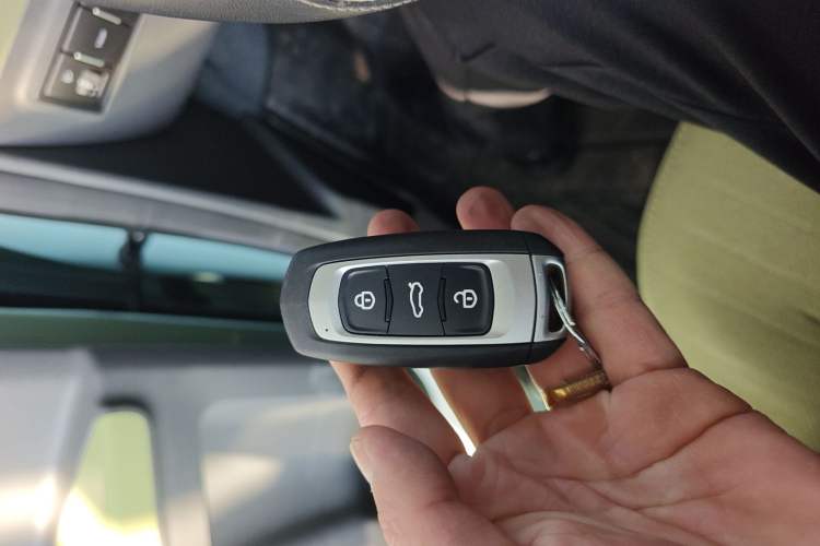 Used Geely Galaxy Panda 2024 Panda Mini 200km Endurance Bear
