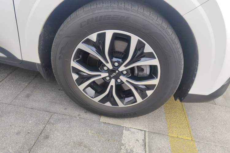 Used Kia Carnival 2021 2.0T Luxury Premium Model
