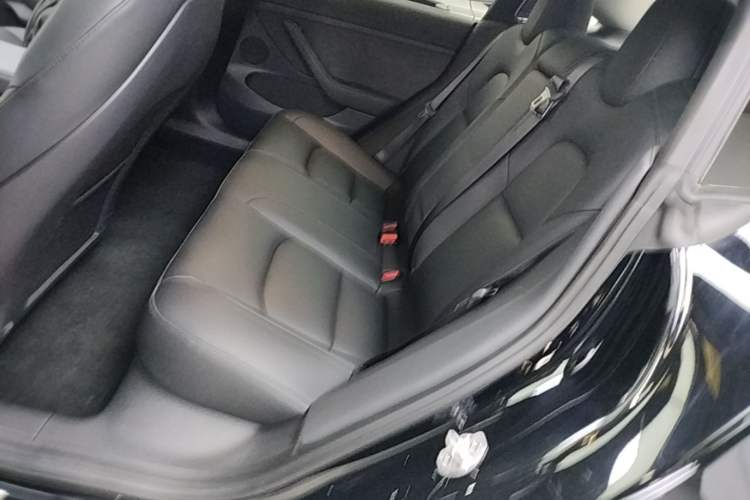 Used Tesla Model 3 2021 Revised Version Standard Range Rear-Wheel Drive Upgraded Edition 3D1