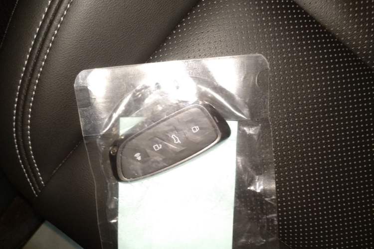 Used Haval H Dog New Energy 2024 Hi4 102km Trend Electric Version Plus
