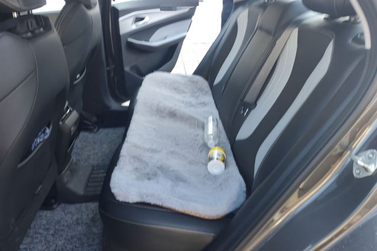 Used Geely Auto Binray 2024 Binrui COOL 1.5T DCT Champion Edition