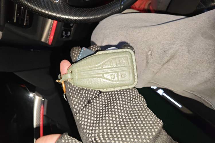 Used Hongqi HS5 2019 2.0T Smart Connect Flagship All-Wheel-Drive Version