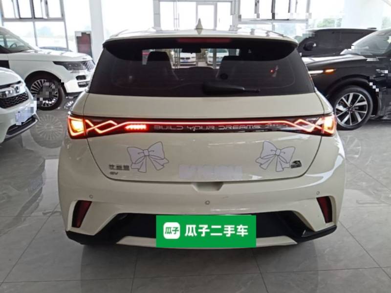 Used BYD Dolphin 2023 420 km Free Version — 5