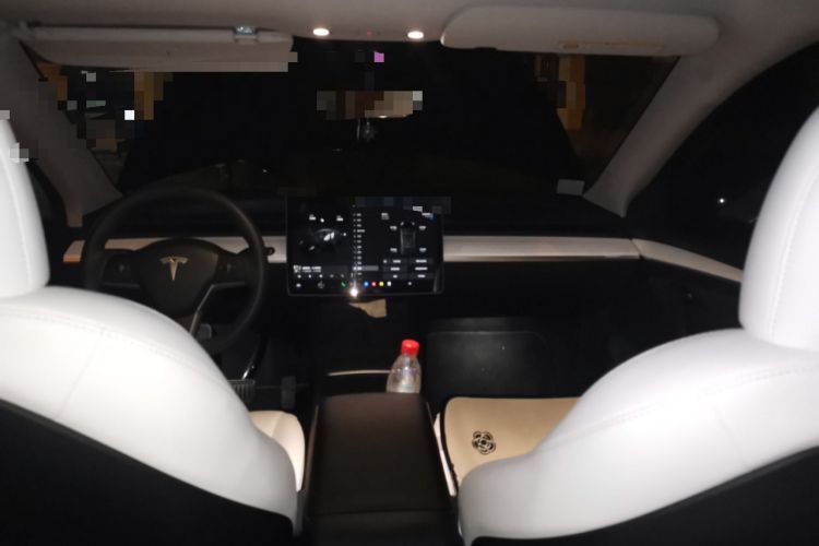 Used Tesla Model Y 2022 Revised Version Long-Range All-Wheel Drive Headliner