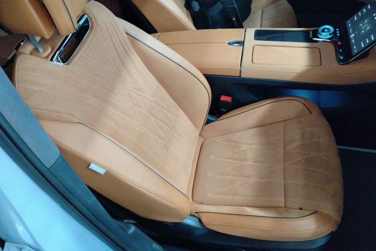 Used VOYAH PASSION 2023 Four-Wheel Drive Long-Range Version Right Front Seat