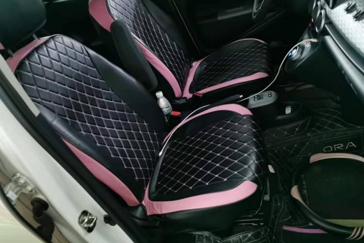 Used ORA Black Cat 2022 301km Base Version Ternary Lithium