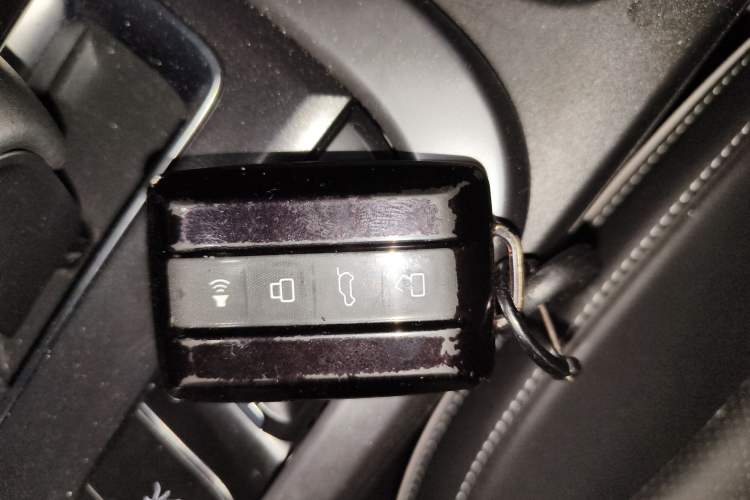 Used Tank 300 2024 2.0T Conqueror