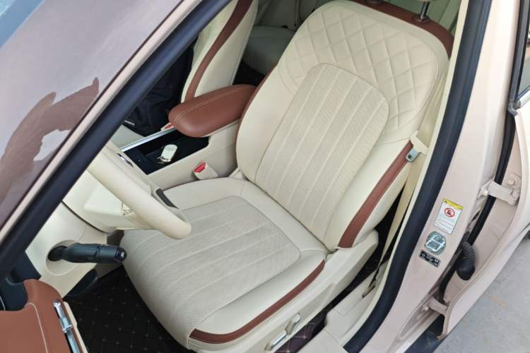 Used ORA Good Cat 2022 Morandi Edition 400km Standard Range Premium Version Lithium Iron Phosphate
