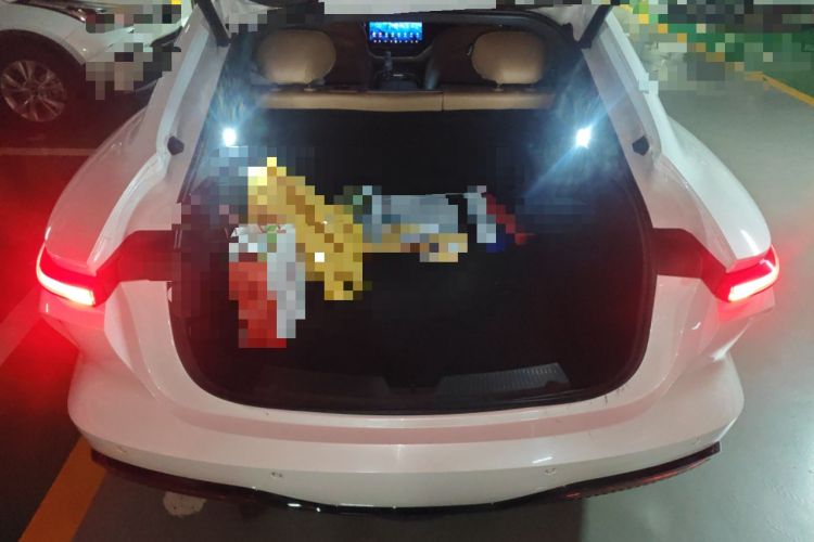 Used Rising F7 2023 Advanced Edition Trunk