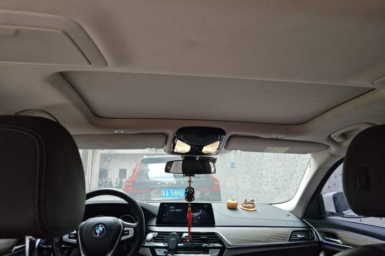 Used BMW 5 Series New Energy 2019 530Le Luxury Package Headliner