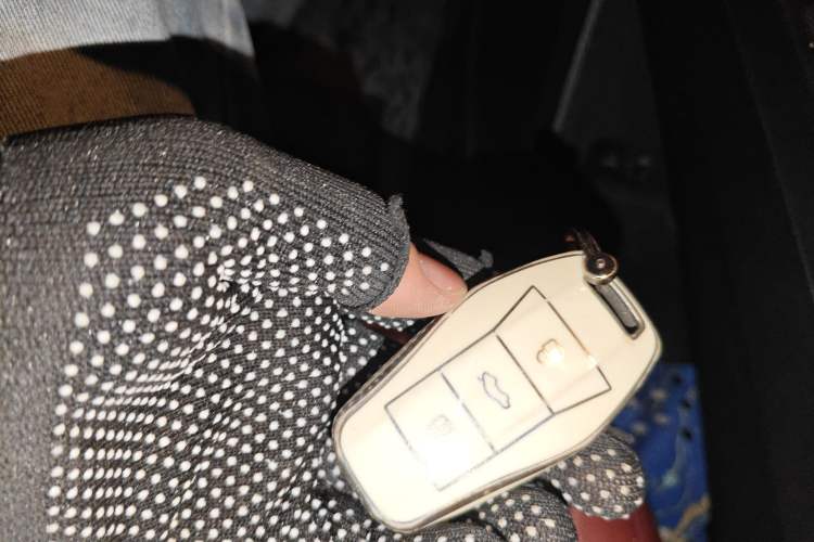 Used SOL E10X 2021 302 km Range Fashion Edition 31.4 kWh