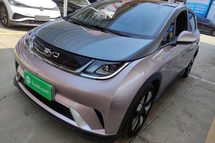 Used BYD Dolphin 2025 520km Range Knight Edition