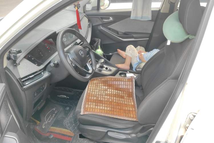 Used CHANGAN E-Pro 2020 High-Performance Edition
