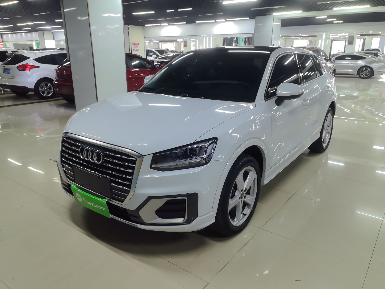 Parte inferior delantera