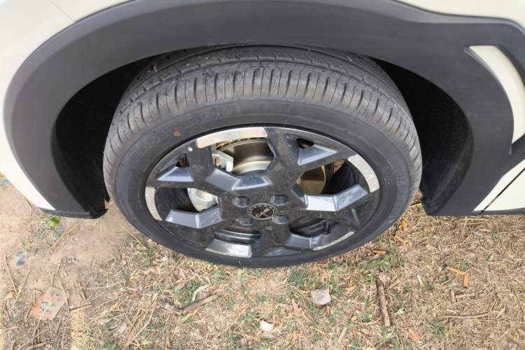 Used BYD Seagull 2025 305 km Free Version