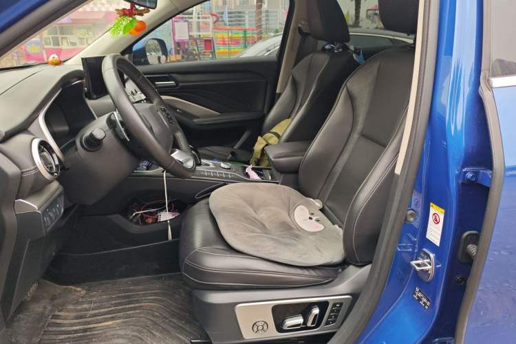 Used Wey VV6 2021 2.0T Two-Wheel Drive Smart Plus Left Front Seat