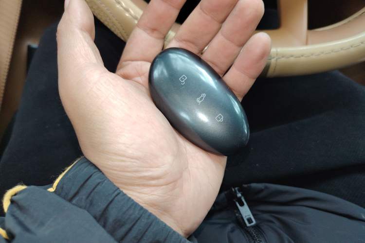 Used Rising R7 2024 Advanced Pro Edition