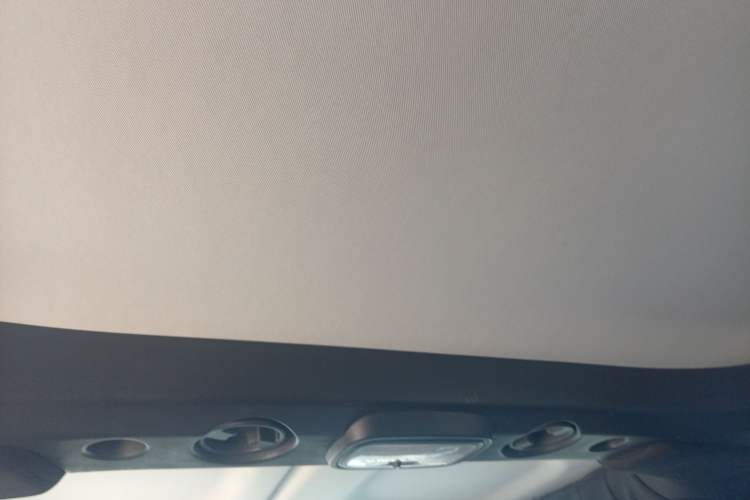 Used BAIC Off-Road BJ40 2020 2.0T Automatic Four-Wheel Drive Urban Hunter Edition Chivalrous Type Headliner