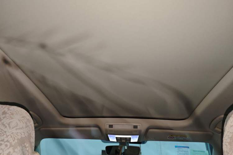 Used Volkswagen Phideon 2021 380TSI Luxury Edition Headliner