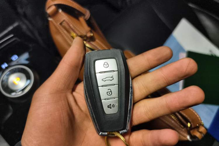 Used Geometry E Firefly 2022 401 km Linglong Tiger 4 Seats Vehicle Key