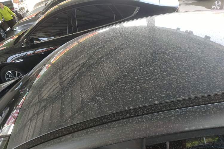 Used BYD Qin PLUS 2024 HONOR Edition DM-i 55KM Leading Model