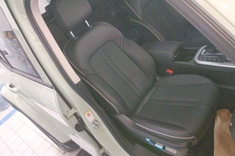 Used Tank 300 2024 2.0T Crosser
