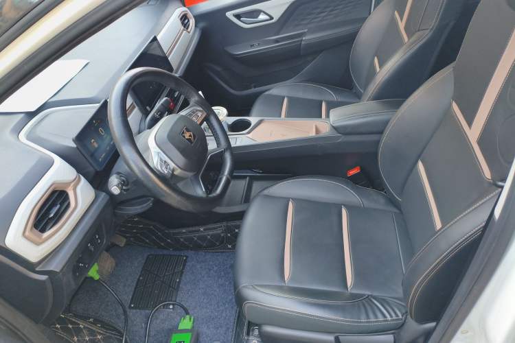 Used SOL E10X 2022 Flower Fairy Design Four-Leaf Clover