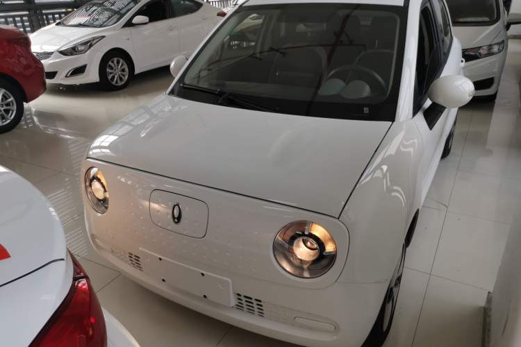 Used ORA Black Cat 2022 301km "Cute Pet" Version – Lithium Iron Phosphate Front