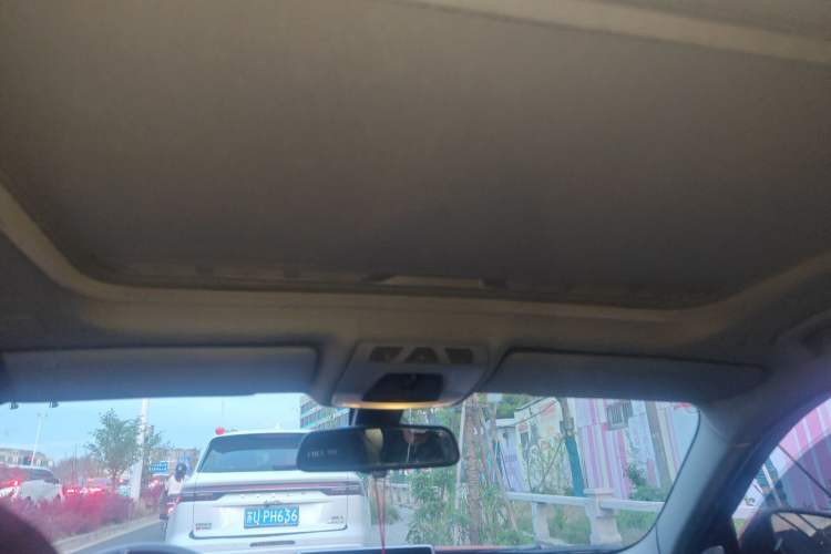 Used BMW 3 Series 2015 320Li Luxury Edition Fashion Model Headliner