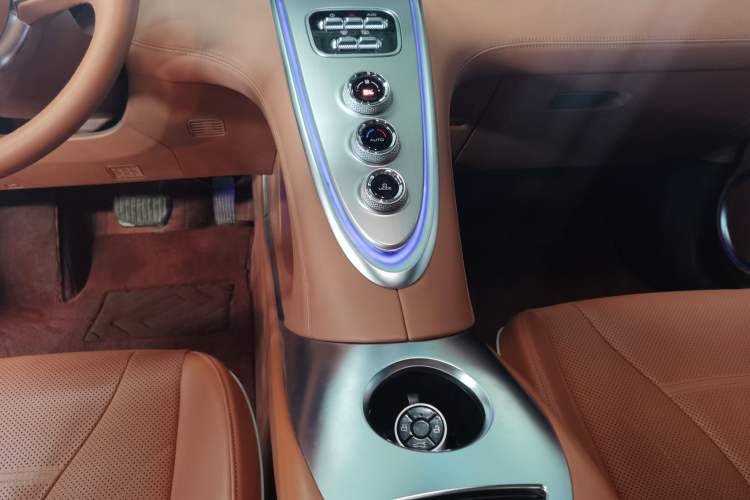 Used ORA Lightning Cat 2022 555 km Luxury Edition
