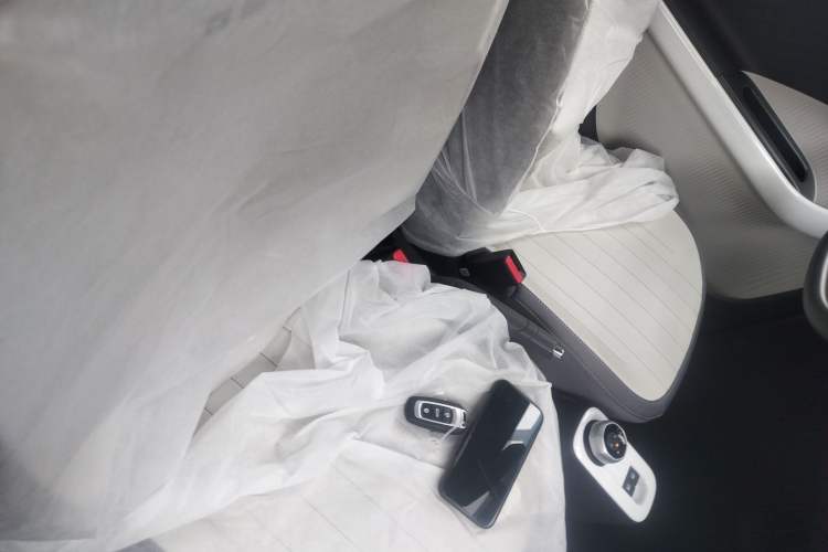 Used Geely Galaxy Panda 2025 210km Panda Kart