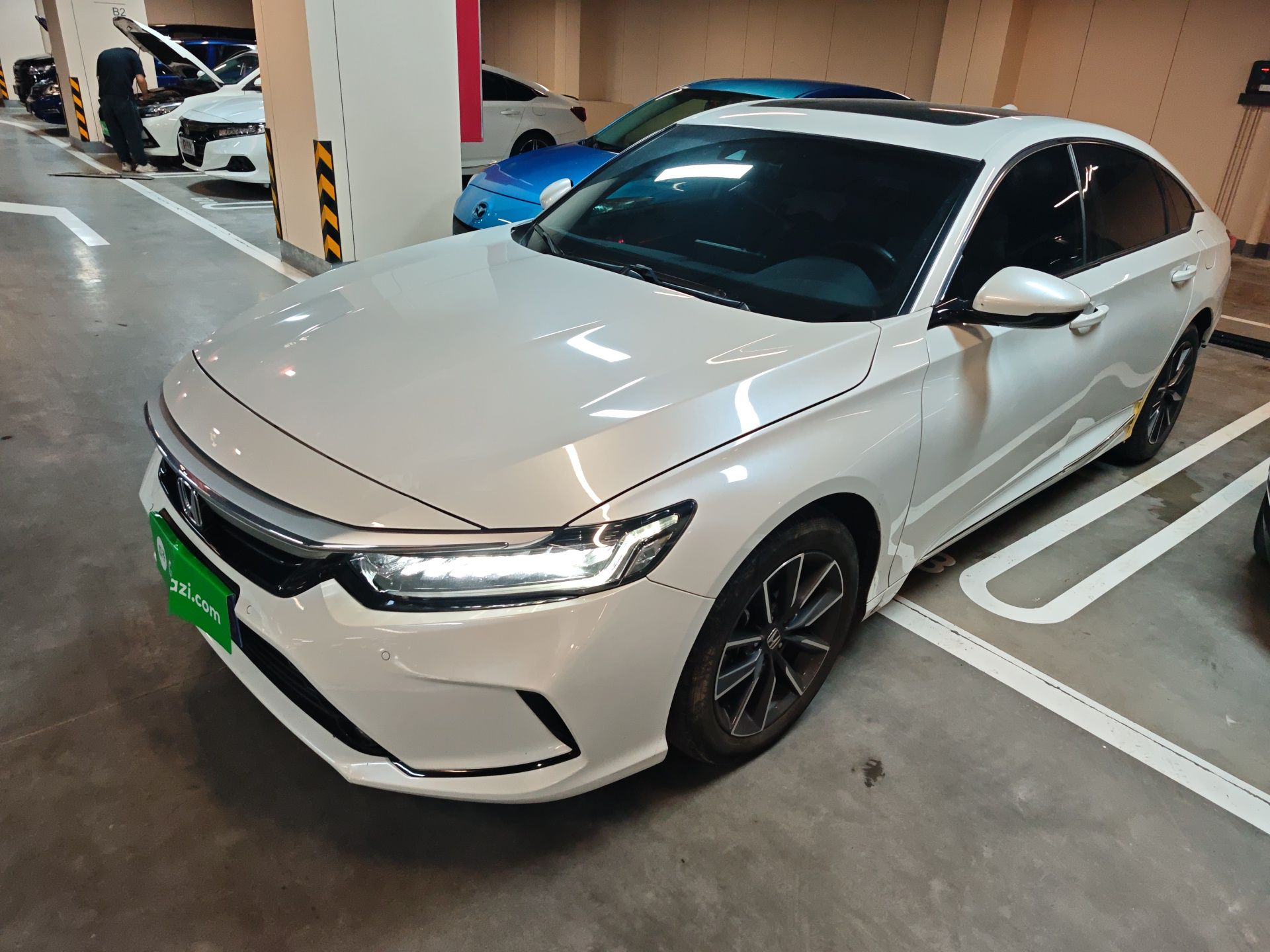 Parte inferior delantera