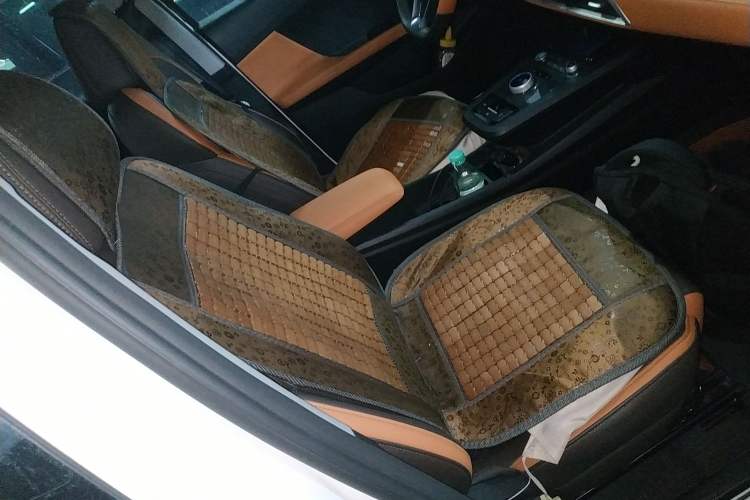 Used BYD e2 2020 Upgraded Version Long-Range Edition Luxury Model Right Front Seat