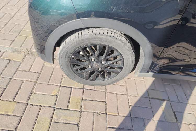 Used Chery Little Ant 2024 321km - Only Love Edition