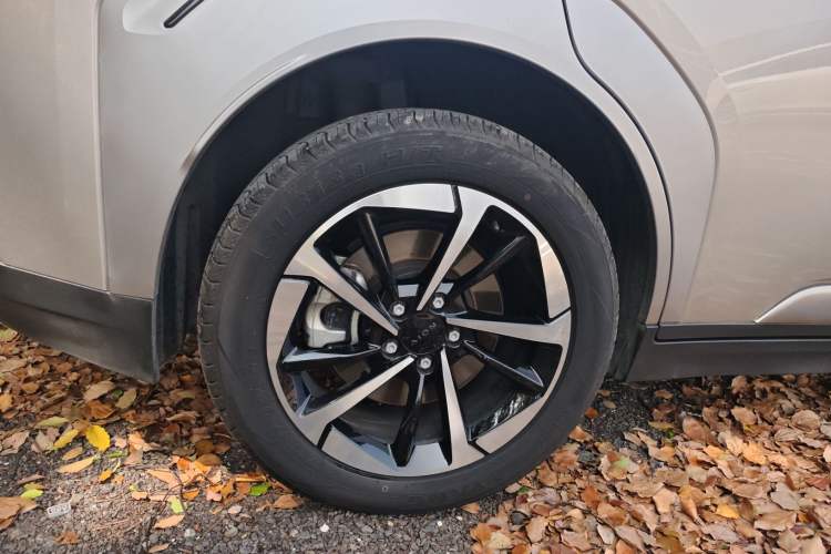 Used AION Y 2024 Younger Star Edition