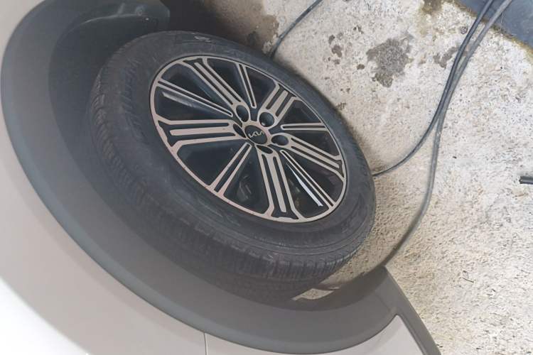 Used Kia Sportage R 2021 Ace 2.0L Splendid Edition