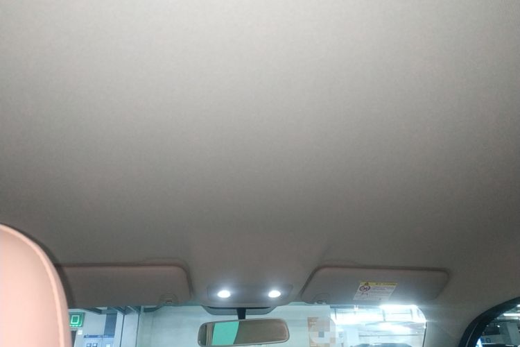 Used Leapmotor T03 2024 310 Comfort Edition Headliner
