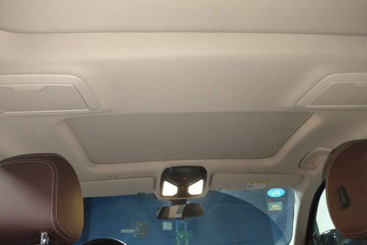 Used BMW 5 Series New Energy 2019 530Le Luxury Package Headliner