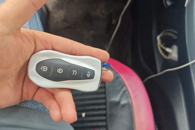 Used Geely Auto Monjaro 2019 300T YAOXINGZHE